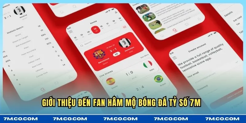 Giới thiệu đến fan hâm mộ bóng đá tỷ số 7M 