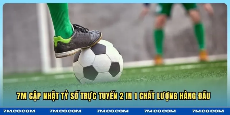 7M cập nhật tỷ số trực tuyến 2 in 1 chất lượng hàng đầu 