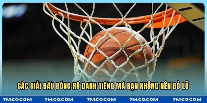 Các giải đấu bóng rổ danh tiếng mà bạn không nên bỏ lỡ