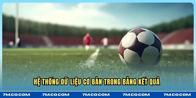 Hệ thống dữ liệu cơ bản trong bảng kết quả 