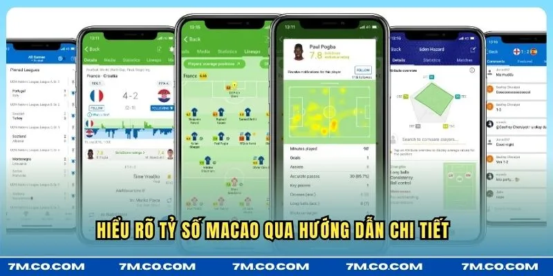Hiểu rõ tỷ số Macao qua hướng dẫn chi tiết 