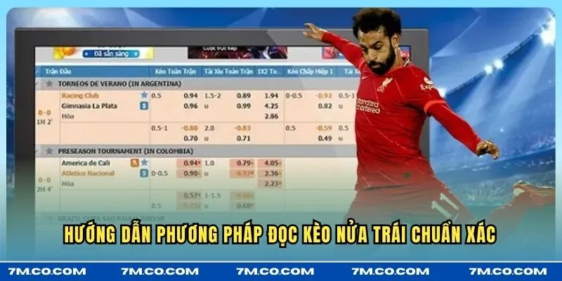 Hướng dẫn phương pháp đọc kèo nửa trái chuẩn xác