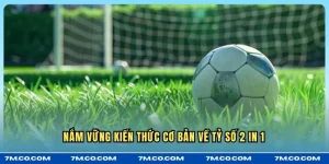 Nắm vững kiến thức cơ bản về tỉ số 2 in 1