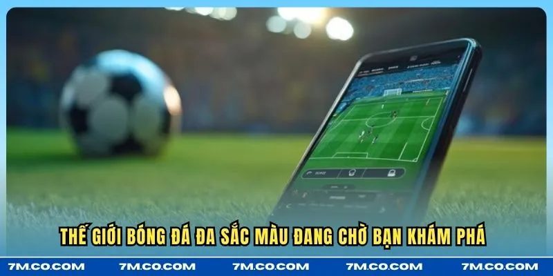 Thế giới bóng đá đa sắc màu đang chờ bạn khám phá 