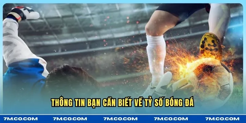 Thông tin bạn cần biết về tỷ số bóng đá