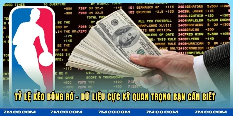 Tỷ lệ kèo bóng rổ - dữ liệu cực kỳ quan trọng bạn cần biết 